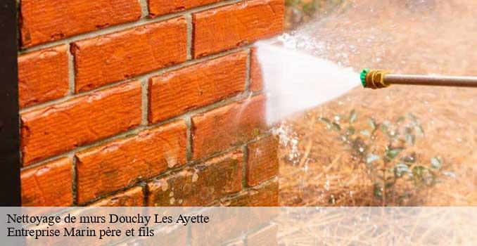 Nettoyage de murs  douchy-les-ayette-62116 Entreprise Marin père et fils